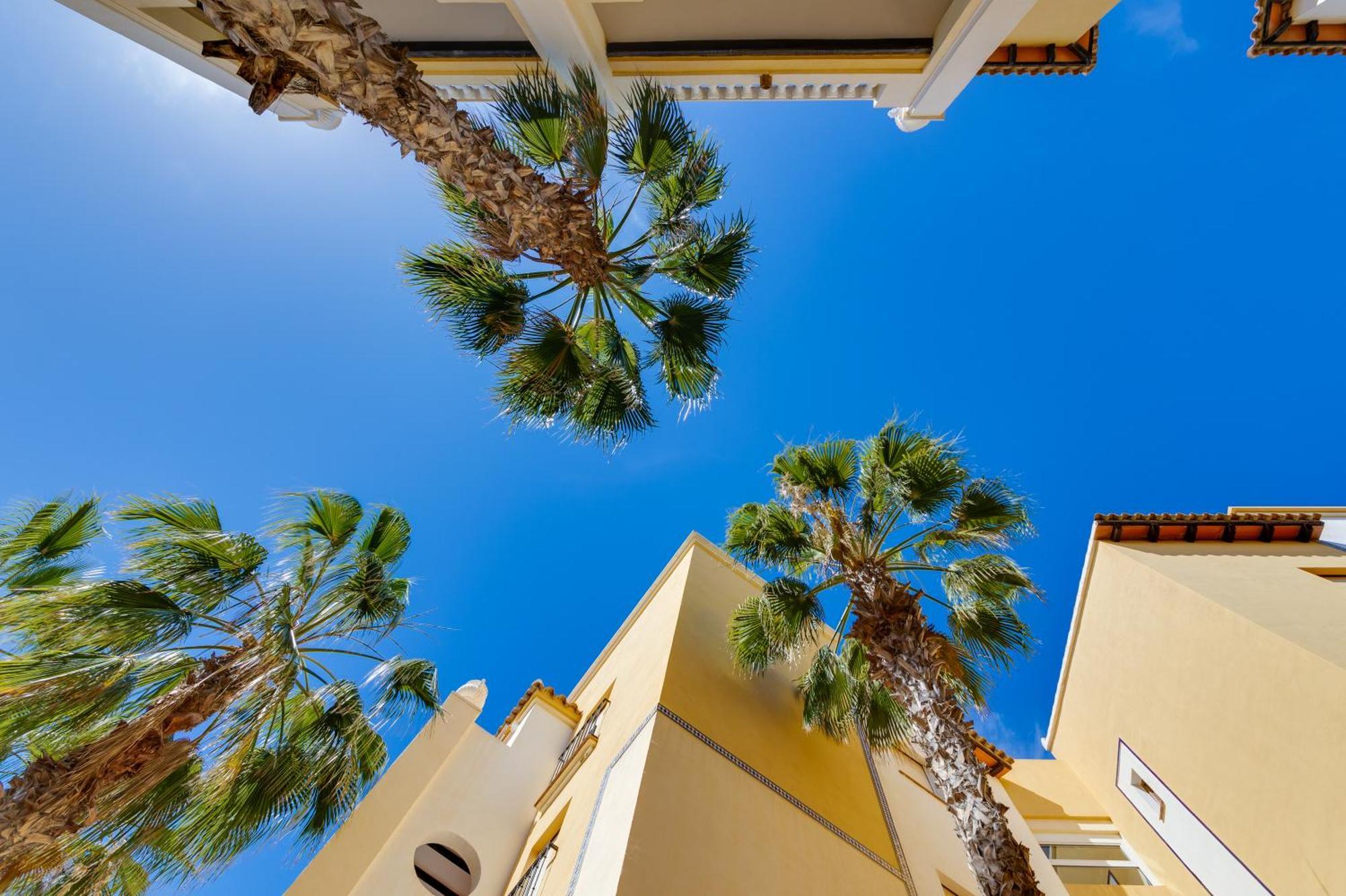 Premium Apartment Beach Aldea Del Mar Torrevieja Exterior foto